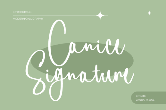 Canice Signature Font: Elegant Script for Web Design