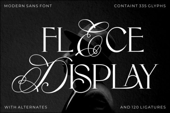 Flece Display – Modern Sans Font