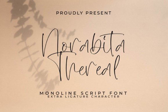 Norabita Thereal: A Premium Script Font