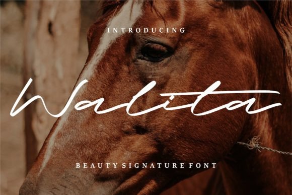 Walita: A Script Font for Elegant Design